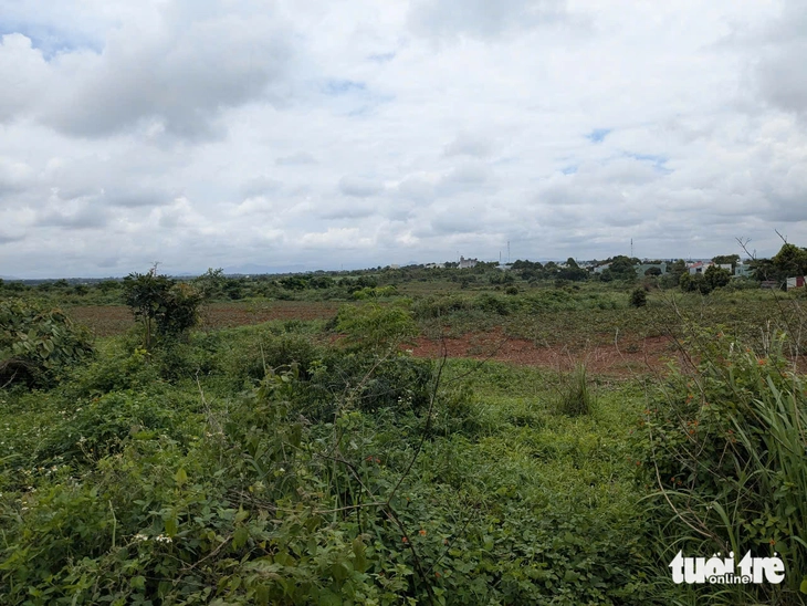 Xúc tiến sớm khởi công dự án khu đô thị 240ha gần sân bay Pleiku- Ảnh 3. Gia Lai - Ảnh 3.