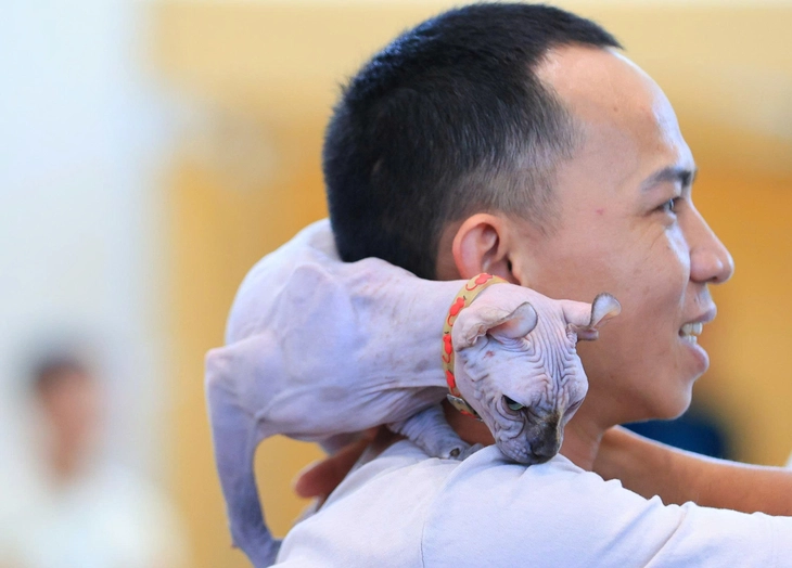 thú cưng - Ảnh 12.