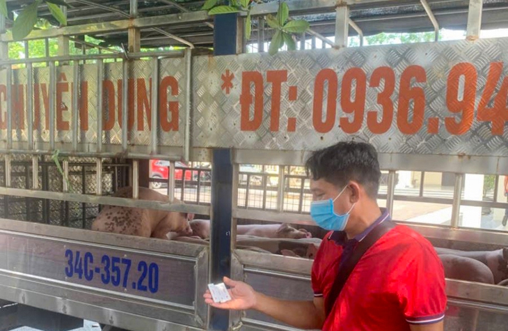 dịch tả - Ảnh 2.