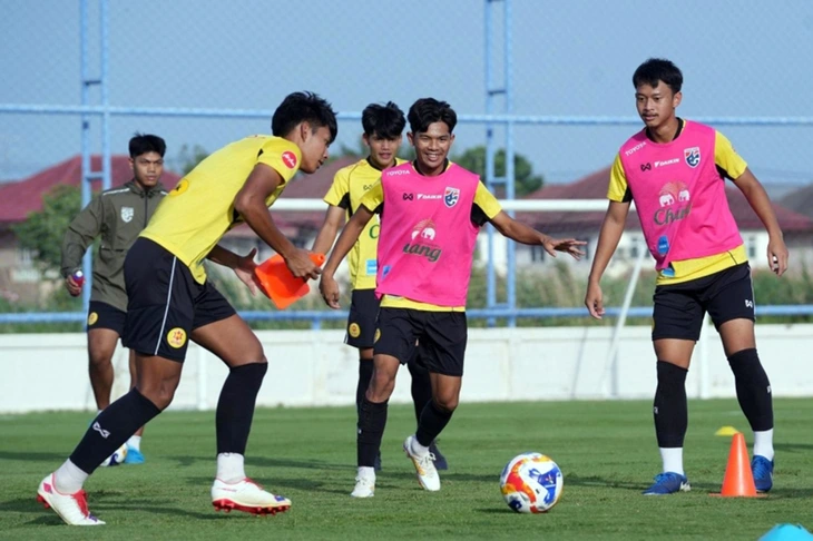 Đông Nam Á - Ảnh 1.