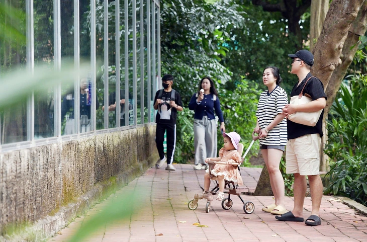 dân số - Ảnh 5.
