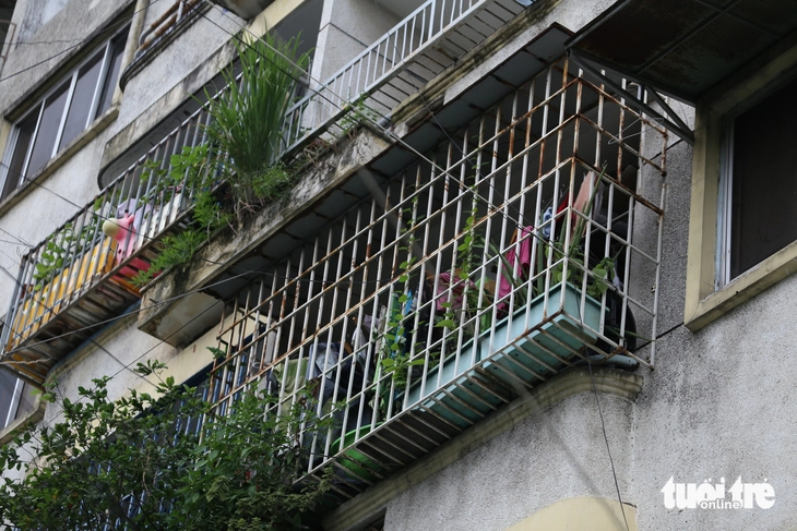 chuồng cọp - Ảnh 15.