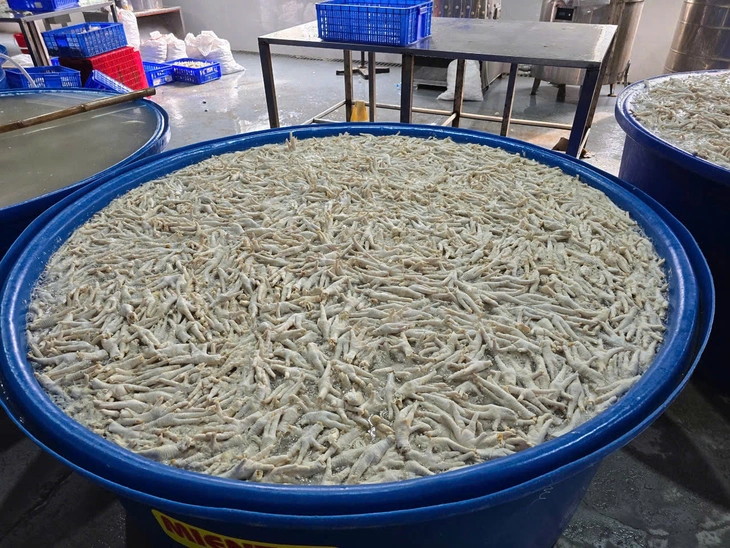 chân gà - Ảnh 2.