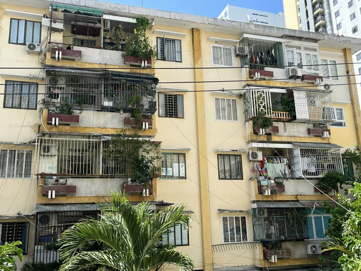 'Chuồng cọp' ở chung cư tại Nha Trang: Tháo bỏ sợ trộm, để lo cháy nổ- Ảnh 3. chuồng cọp - Ảnh 3.