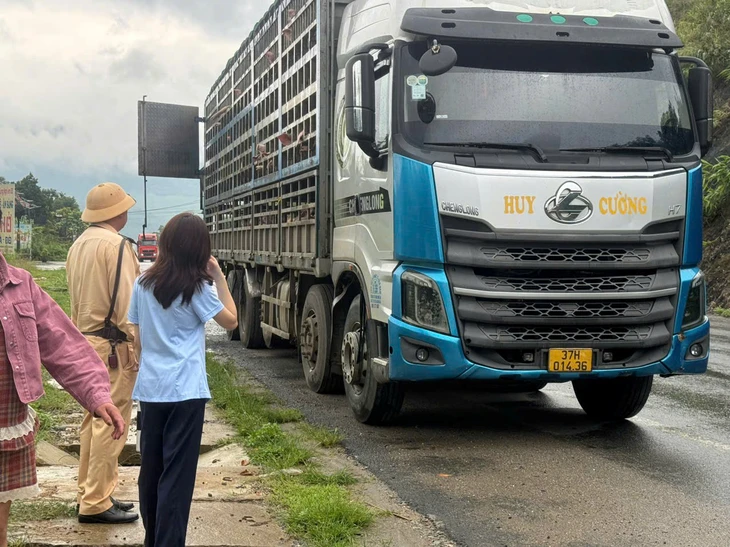 dịch tả heo Châu Phi - Ảnh 1.