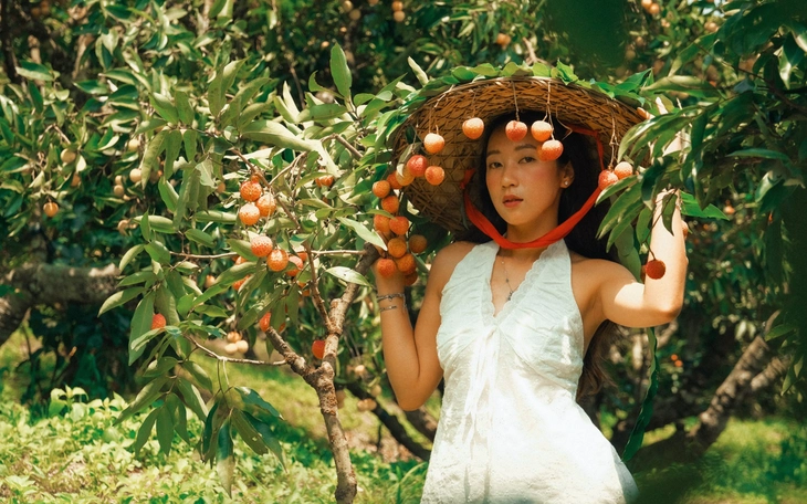 Thủ phủ vải thiều trước chính vụ: Lo giảm sản lượng, quyết giữ chất lượng - Ảnh 2.