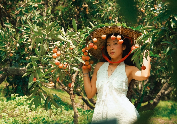 Chợ vải thiều ở Bắc Ninh 'gây sốt' nhờ bộ ảnh đẹp như phim trường - Ảnh 1.
