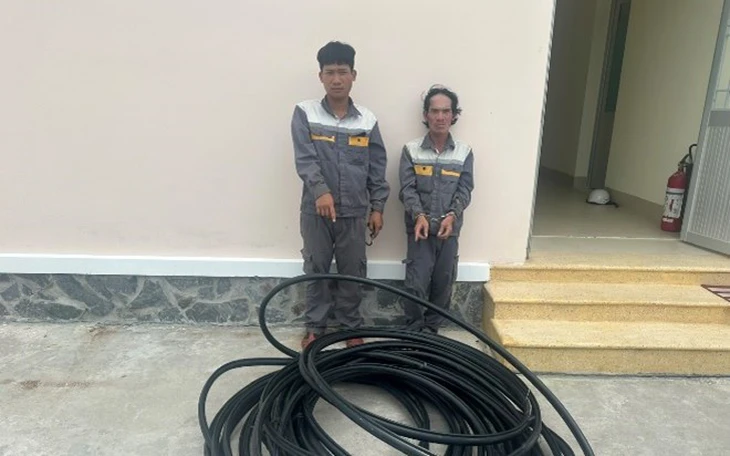 Giả danh đơn vị thi công cắt trộm cáp quang, bị công an phát hiện - Ảnh 2.