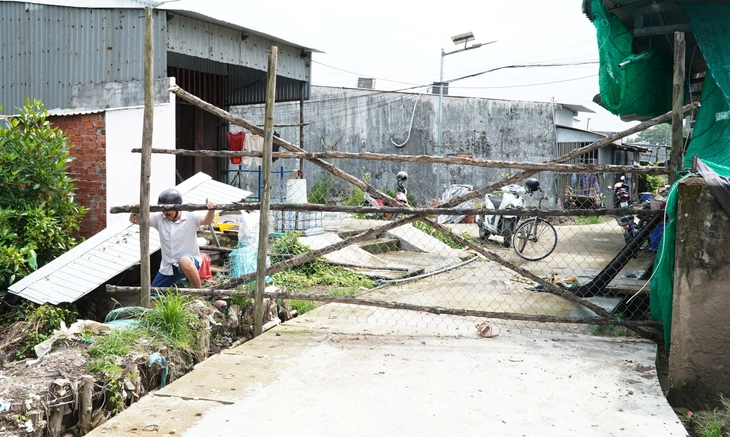 Cà Mau: Tranh chấp lối đi, đem cây rào đường - Ảnh 1.