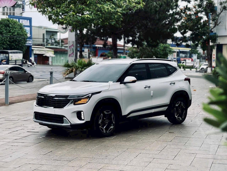 Kia Seltos - Ảnh 1.