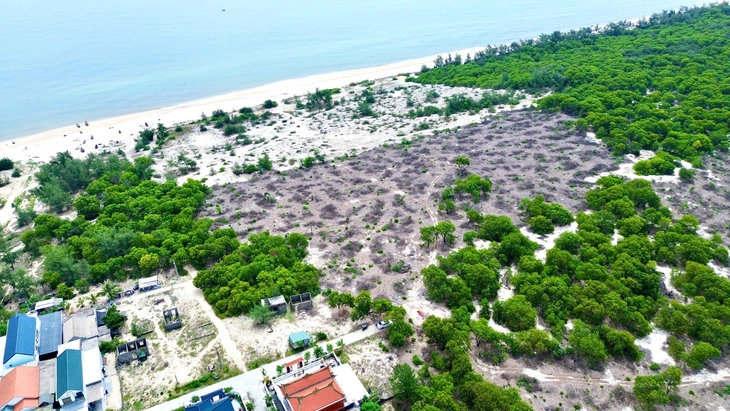 RỪNG PHÒNG HỘ - Ảnh 1.