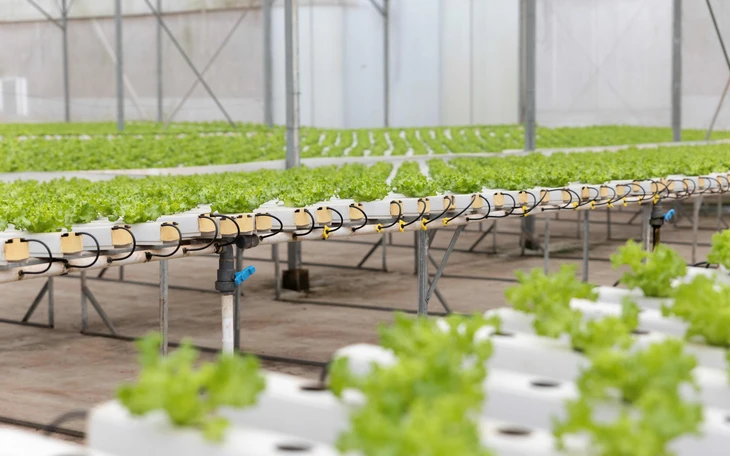 Khi đổi mới không còn đi theo kịch bản - Ảnh 2.