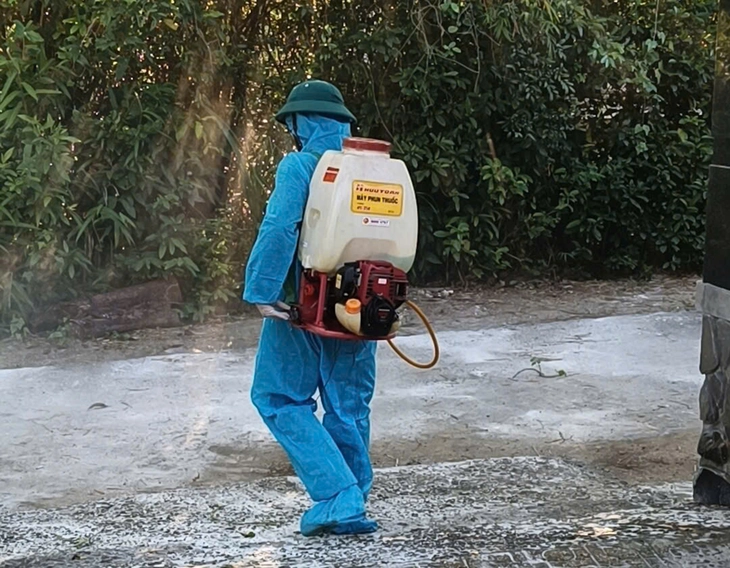 Một phường ở Đà Nẵng bùng phát dịch tả lợn châu Phi - Ảnh 4.