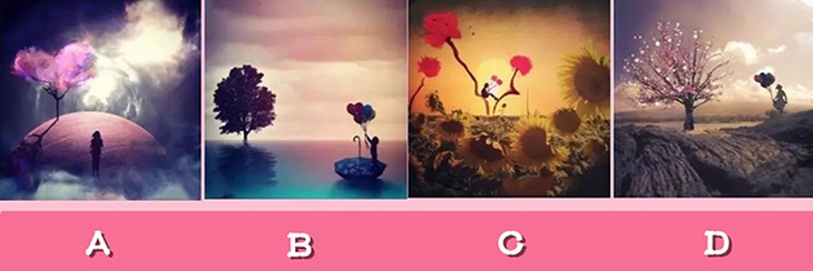 Quiz - Ảnh 1.