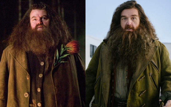 Harry Potter - Ảnh 2.