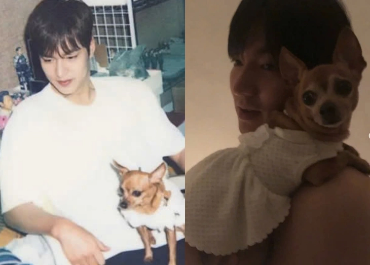 Lee Min Ho và tình yêu thương vô hạn dành cho chú cún vừa qua đời - Ảnh 1. Lee Min Ho - Ảnh 1.
