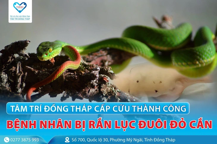 Tâm Trí Đồng Tháp - Ảnh 1.