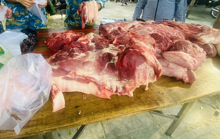 38 người mắc liên cầu lợn ở Huế, người dân thấp thỏm, không ăn thịt heo - Ảnh 5.