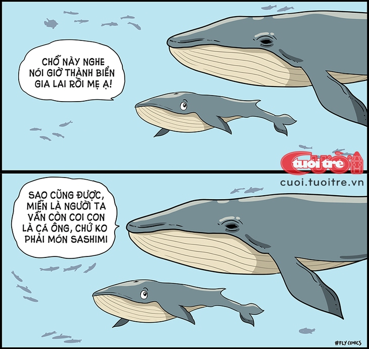 cá voi - Ảnh 1.