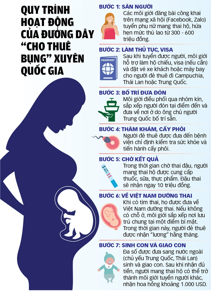mang thai hộ - Ảnh 6.