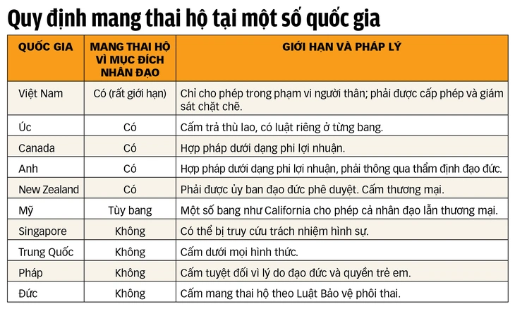 mang thai hộ - Ảnh 7.