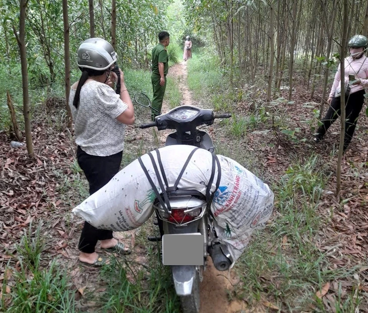 dịch tả heo châu phi - Ảnh 3.