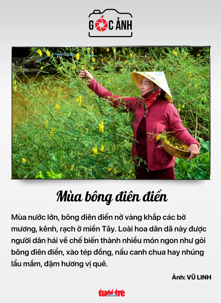 Tin tức sáng 18-7: TP.HCM muốn thu hút đầu tư 20-21 tỉ USD; 'Trả lại tên' cho 2 trường chuyên - Ảnh 9.