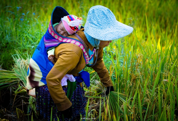 xã Hạnh Phúc - Ảnh 6.
