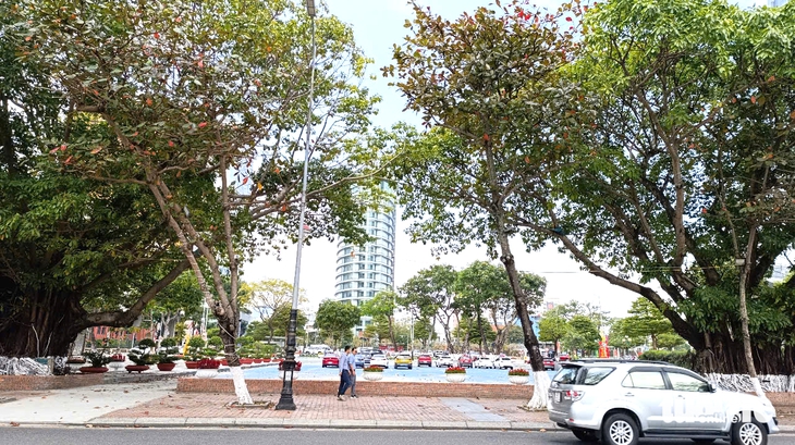 quảng trường - Ảnh 2.