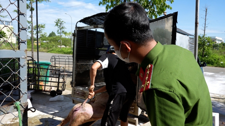 dịch tả - Ảnh 3.