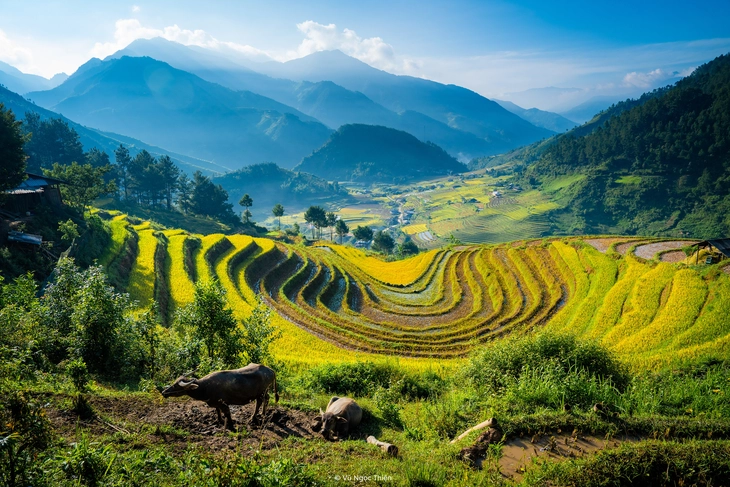 xã Hạnh Phúc - Ảnh 13.