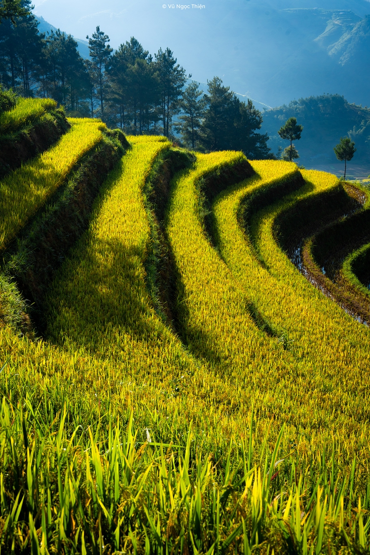 xã Hạnh Phúc - Ảnh 15.