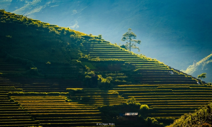 xã Hạnh Phúc - Ảnh 14.