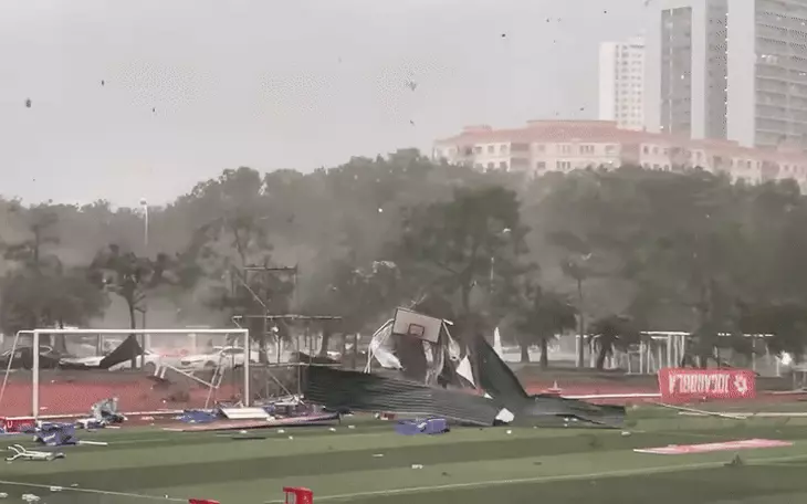 Cây xanh Hà Nội ở đổ đè lên nhiều ô tô sau mưa lớn, trần chung cư sập xuống sàn vì gió lớn - Ảnh 8.