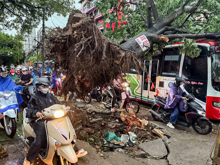 Dông lốc ở Hà Nội quật ngã nhiều cây xanh, cột điện - Ảnh 7.