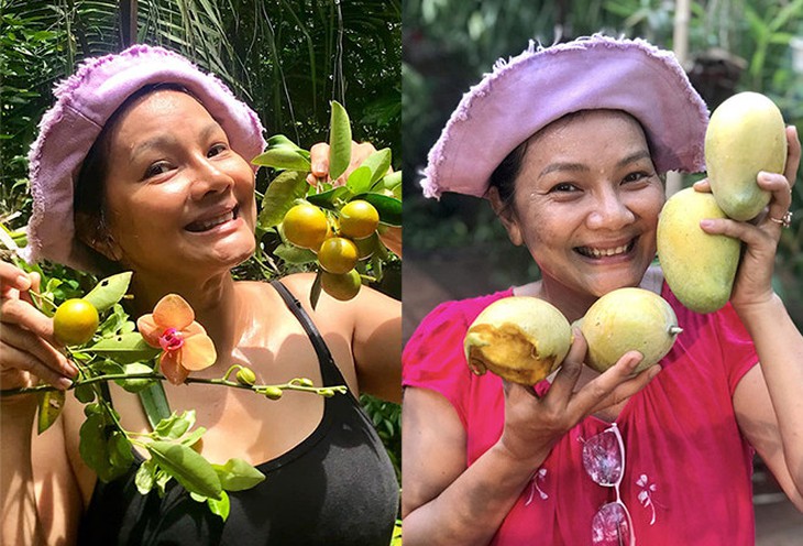 về vườn - Ảnh 4.