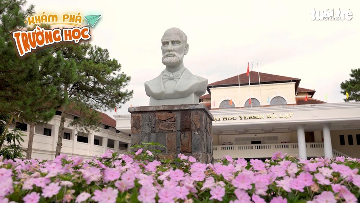 19h ngày 20-7, Trường đại học Yersin Đà Lạt lên sóng Khám phá trường học - Ảnh 5.
