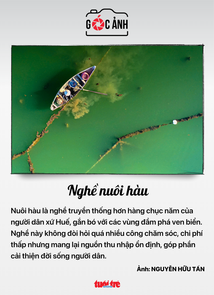 doanh nghiệp - Ảnh 7.