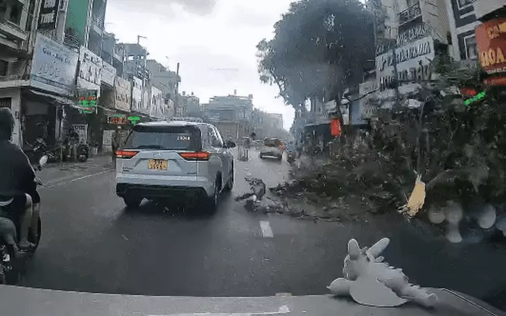 Dông lốc quét qua Đồng Nai, hàng loạt cây xanh, trụ điện ngã đổ, nhà tốc mái - Ảnh 4.