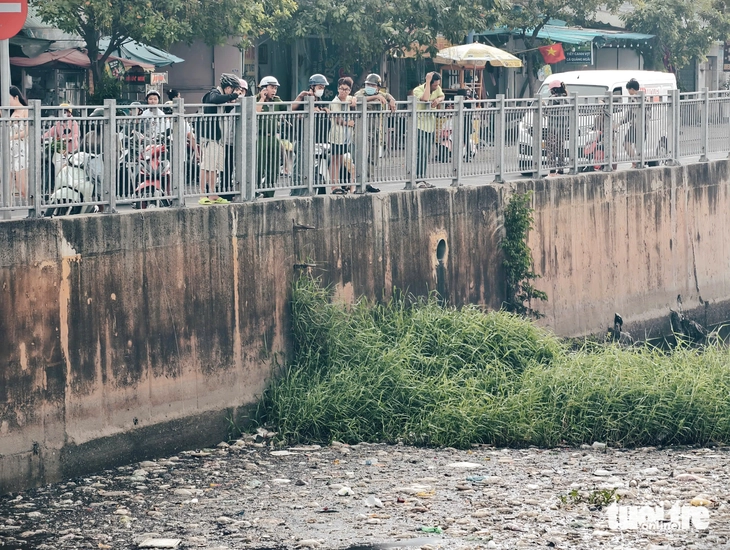 cá sấu - Ảnh 5.