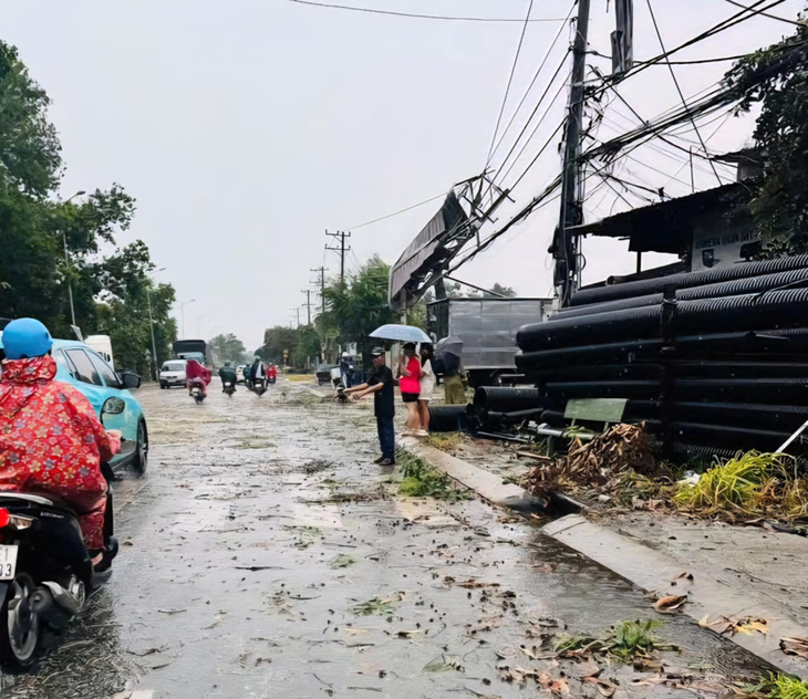 TP.HCM mưa dông, gió giật cấp 9, cây xanh ngã đổ nhiều nơi - Ảnh 4.