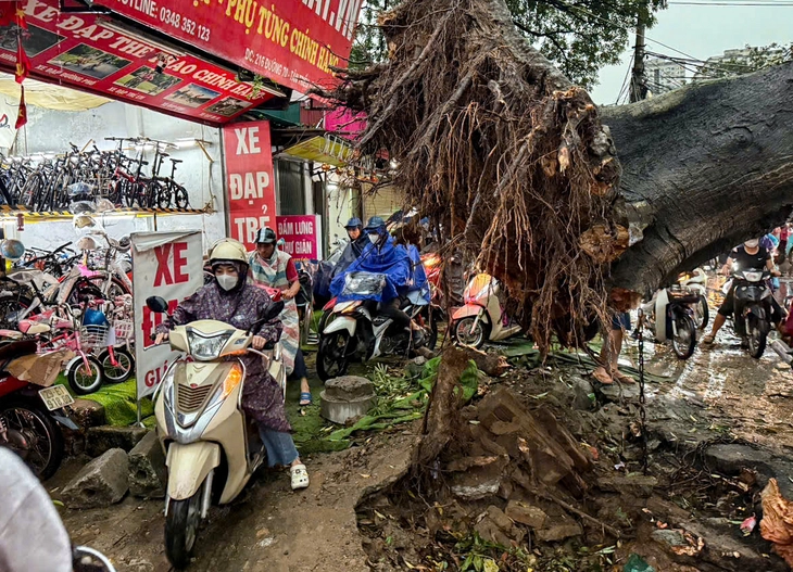 xe bán tải - Ảnh 2.