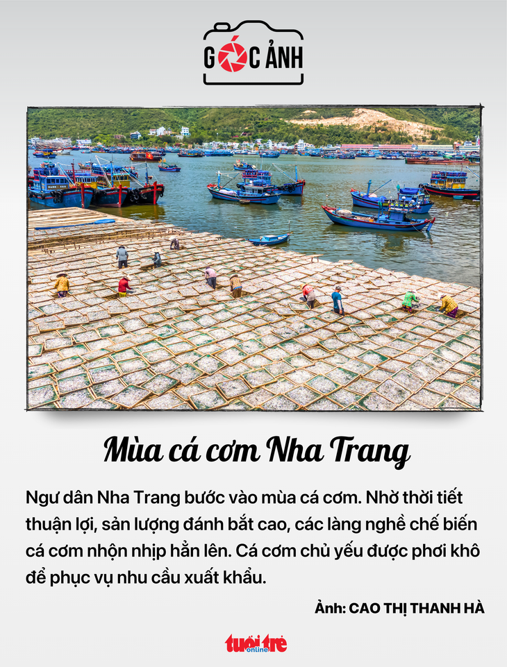 trợ cấp - Ảnh 6.