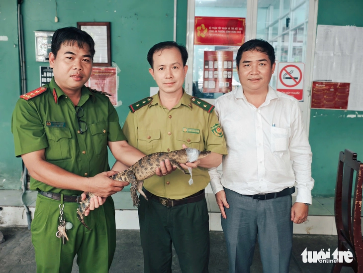 Kiểm lâm TP.HCM tiếp nhận cá sấu 'nhí' nặng 2kg bắt được dưới kênh Nước Đen - Ảnh 1.