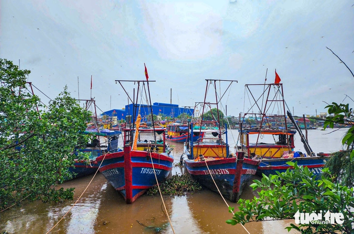 bão wipha - Ảnh 6.