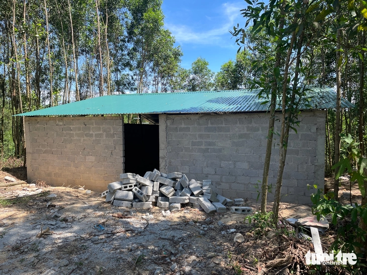 Xây 51 khu tái định cư đường sắt cao tốc Bắc - Nam, giao 35 xã làm chủ đầu tư - Ảnh 1.