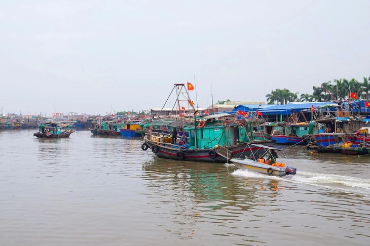 hải phòng - Ảnh 4.