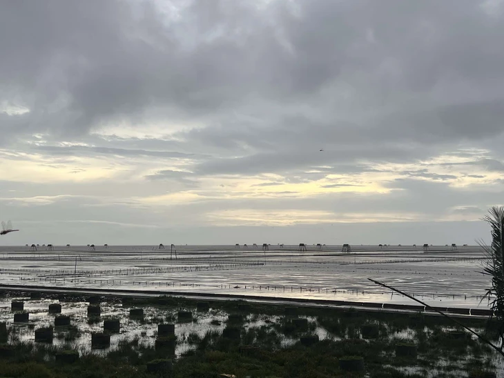 bão số 3 - Ảnh 4.
