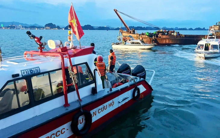 Tòa buộc bảo hiểm phải bồi thường khi tàu bị sóng đánh chìm - Ảnh 2.