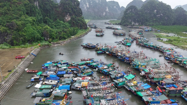 Việt Nam, Nhật, Hong Kong đều dự báo bão số 3 mạnh lên cấp 11 trước khi đổ bộ - Ảnh 2.